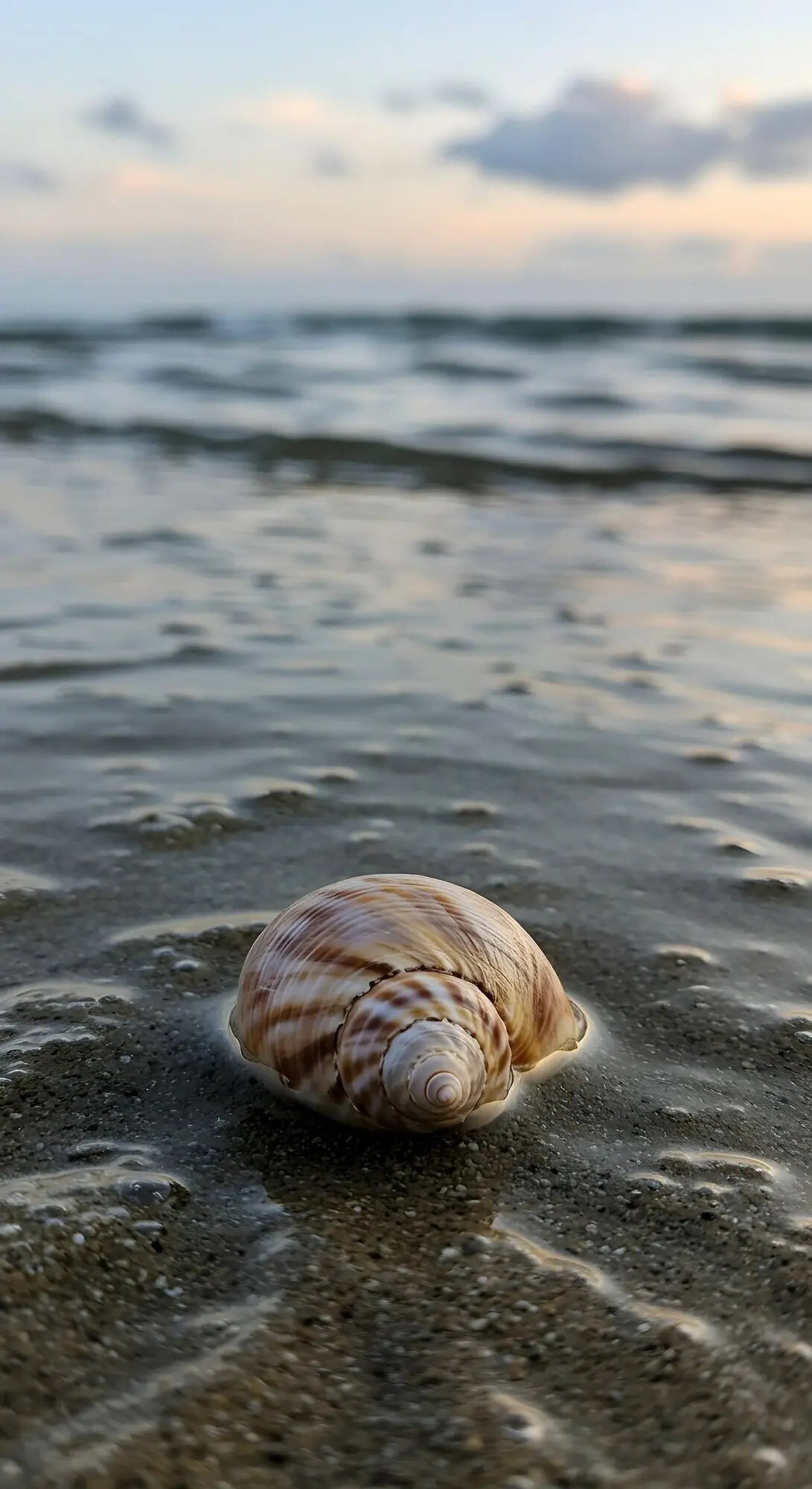 Пожалуйста, пришлите исходное описание, которое нужно перефразировать.